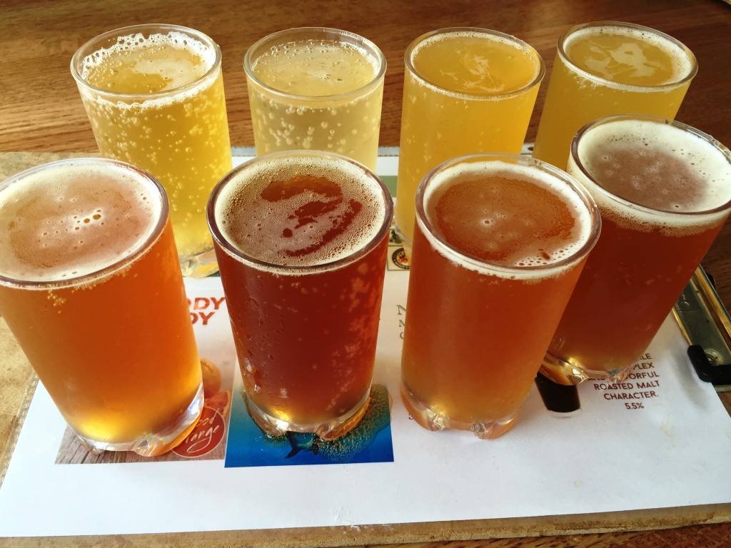 Ruddy Duck sampler