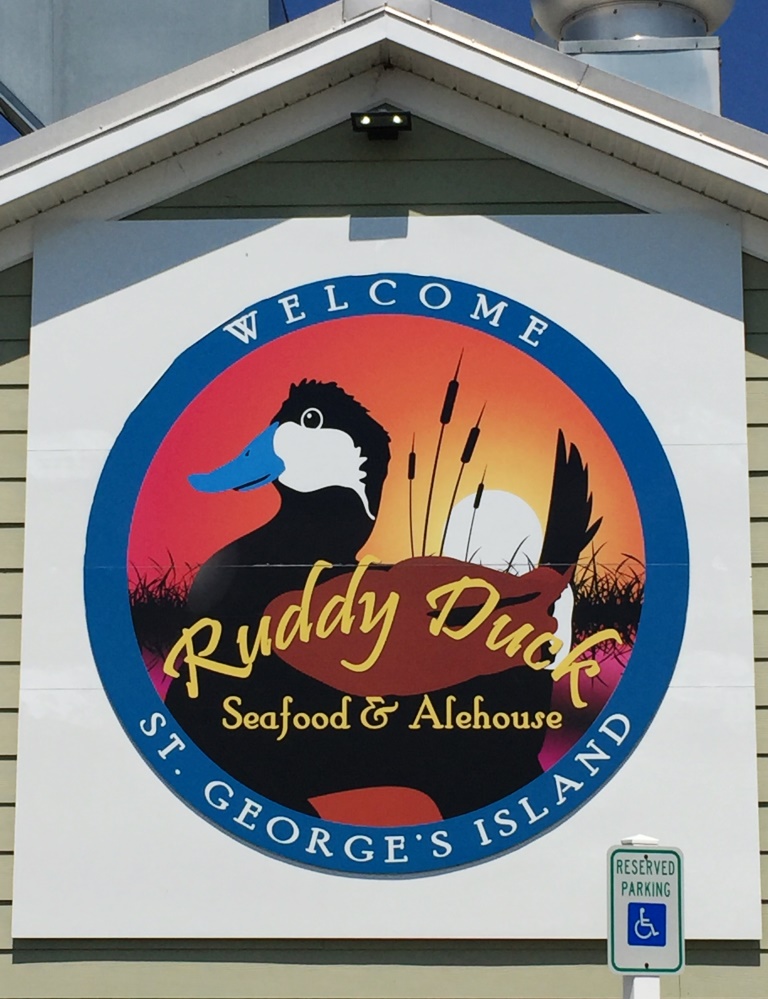 Ruddy Duck sign