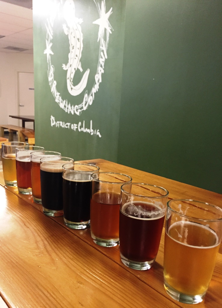 Hellbender flight